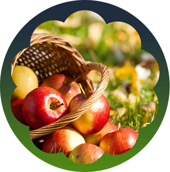 Fruit and Vegetable Market in the Mowbray Racecourse area